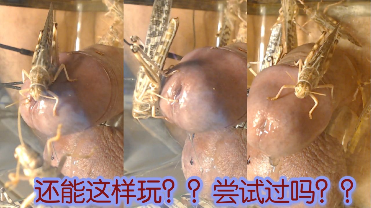 還能這樣玩？？嘗試過嗎？？